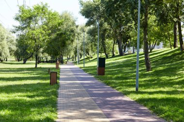 Avrupa, Kyiv 'de ağaçlar ve çimlerle çevrili bir yürüyüş yolu. Şehir parkında dinlenme yeri