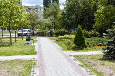 Yol, Avrupa, Kyiv 'de ağaçlar ve süslü çalılarla çevrili. Şehir parkında dinlenme yeri