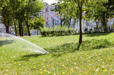Çimlerin sulanması ve bakımı, sonbahar parkında bahçe bakımı için otomatik ekipman. Bahçe sulama sistemi çimenleri suluyor