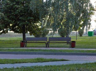 Avrupa 'nın başkenti Kyiv' de ağaçlar ve süslü çalılarla çevrili dinlenme yerleri. Yazın şehir parkında dinlenecek bir yer.