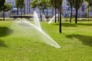Çimlerin sulanması ve bakımı, sonbahar parkında bahçe bakımı için otomatik ekipman. Bahçe sulama sistemi çimenleri suluyor