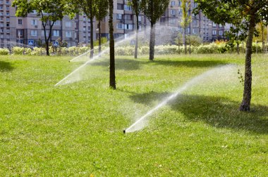 Çimlerin sulanması ve bakımı, sonbahar parkında bahçe bakımı için otomatik ekipman. Bahçe sulama sistemi çimenleri suluyor