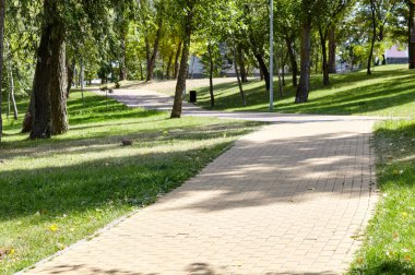 Avrupa, Kyiv 'de ağaçlar ve çimlerle çevrili bir yürüyüş yolu. Şehir parkında dinlenme yeri