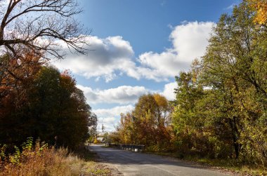 Ağaçların yanındaki asfalt yolda. Kırsal Avrupa 'da bir viraj yolu