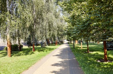 Kyiv, Avrupa 'da ağaçlarla çevrili bir yol. Şehir parkında dinlenme yeri