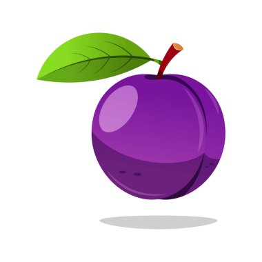 Beyaz arkaplanda izole edilmiş tek erik meyve vektörü.