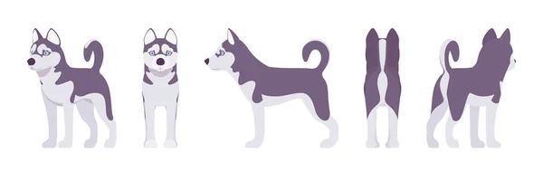 Husky hond permanent — Stockvector