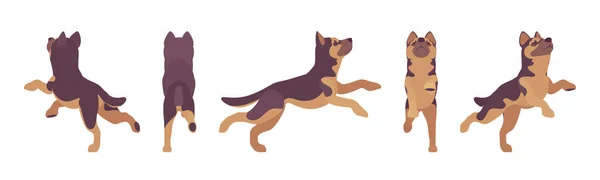 Saut de chien de berger — Image vectorielle