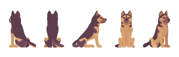 Пастушья собака сидит — стоковый вектор
