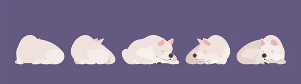 White shepherd dog sleeping — Stock Vector