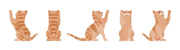 Ginger Tabby Cat gra — Wektor stockowy