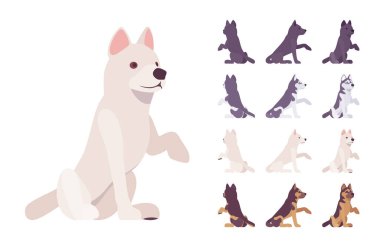 Siyah, beyaz köpek, Husky, Shepherd oturmuş pençe atıyor.