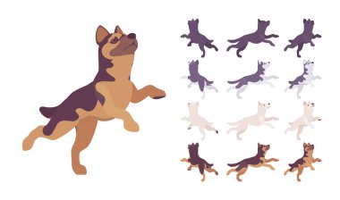 Siyah, beyaz köpek, Husky, çoban seti