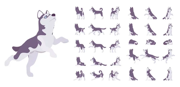 Husky perro conjunto — Archivo Imágenes Vectoriales