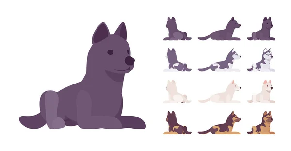 Svart, Vit hund, Husky, Shepherd liggande set — Stock vektor