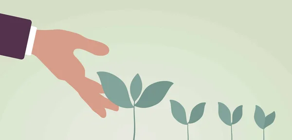 手を助けることで芽を出す植物の緑の芽 — ストックベクタ