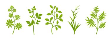 Yapraklarla, evle ve bahçeyle süslenmiş yeşil ağaç dalları.