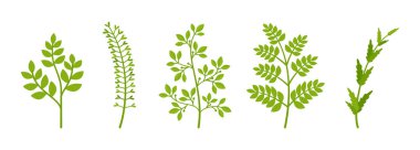 Dallar ve yeşil çiçek sapları, açık hava bitkileri.