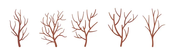 Ξηρά κλαδιά δέντρων σετ, φυσικά αποξηραμένα floral project διακοσμητικά sticks — Διανυσματικό Αρχείο