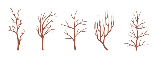 Suche drzewo brązowe gałęzie zestaw, suszone dekoracyjne straszne kije — Wektor stockowy