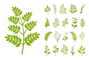 Yapraklarla, evle ve bahçeyle süslenmiş yeşil ağaç dalları.