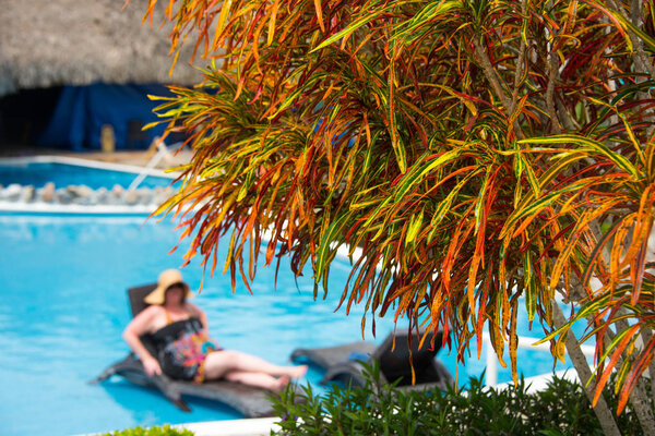 Fiery orange leaves on one of many plants in a resort garden near a pool with de-focused woman relaxing in background.