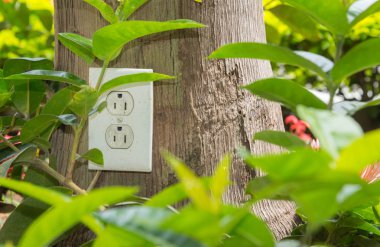 Prizden elektrik Bahçe, yeşil enerji kavramı içinde bir ağaç gövdesi üzerinde.