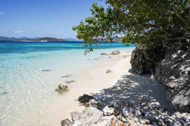 tropikal plaj manzara