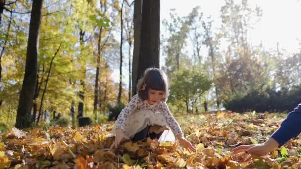 Liten flicka spy upp gulnade blad i en park, slow motion. — Stockvideo