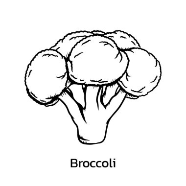 Brokoli vektör illüstrasyon. brokoli çizgi çizimi