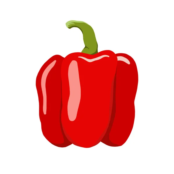 Ilustrasi Vektor Paprika Manis Cute Bell Pepper - Stok Vektor