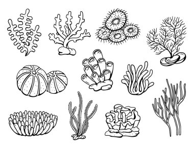 Mercan çizim seti. Vektör illüstrasyonu