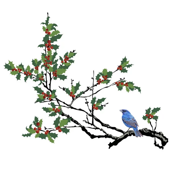 A magyal fa a kék madárral. Elszigetelt madár a faágon - Vektor — Stock Vector