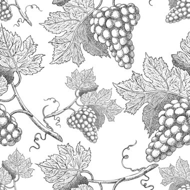 Üzümlü kusursuz vektör deseni. Siyah ve beyaz gravür stili çizim - Vektör