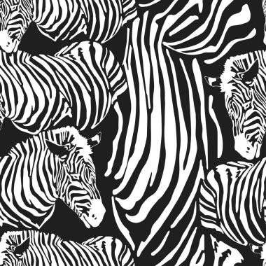 Çağdaş zebra kusursuz konuşmalar. Siyah ve Beyaz Kumaş Deseni Tasarımı. Kusursuz zebra deseni, vektör illüstrasyonu