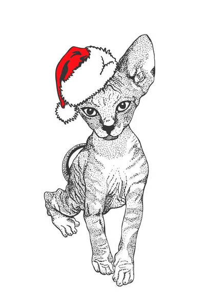 Grafische Sphinx Katze Weihnachtsmannmütze Isoliert Auf Weißem Hintergrund Vektor Neujahr — Stockvektor