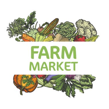 Bayrak sebzeleri. Taze sebze menüsü, organik gıda ve doğal ürün afişleri. Vejetaryen pazarının reklam pankartı veya çiftlik sebzeleri menü kartı vektörü