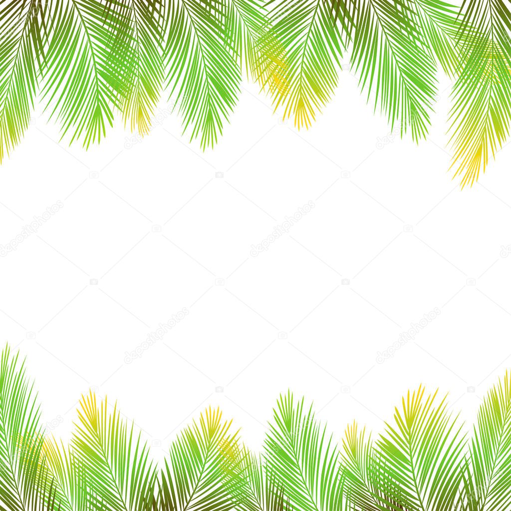 Border of palms branches on isolated on white background. Realistic tree palms. Vector illustration