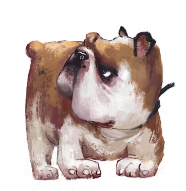 sevimli İngiliz bulldog