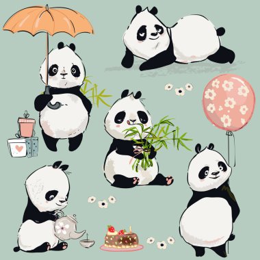 Küçük panda koleksiyonu