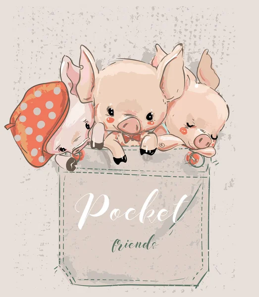 Tre söta härlig tecknad grisar på pocket — Stock vektor