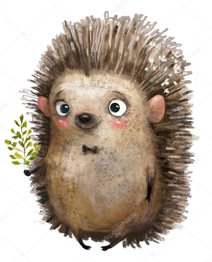 little cartoon hedgehog
