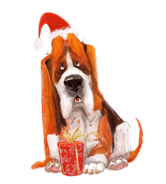 Basset hound with christmas present box — Stock Photo, Image