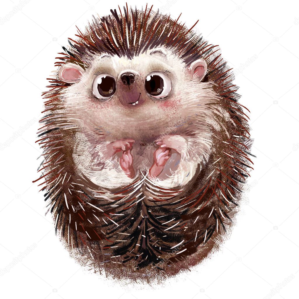 cute little watercolor cartoon hedgehog