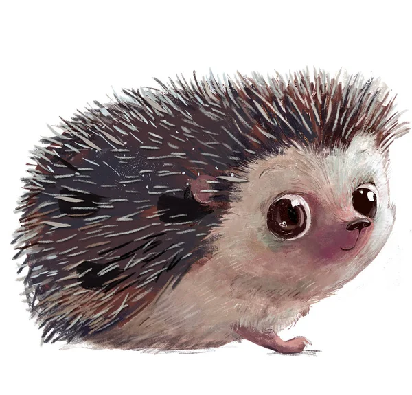 Roztomilý malý akvarel karikatura ježek — Stock fotografie