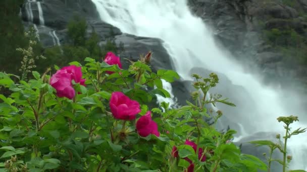 大カスケード滝 ノルウェー — ストック動画
