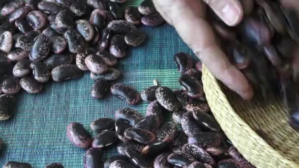 Frijol Manchado Oscuro Frijoles Pintos Alimento Saludable — Vídeo de stock