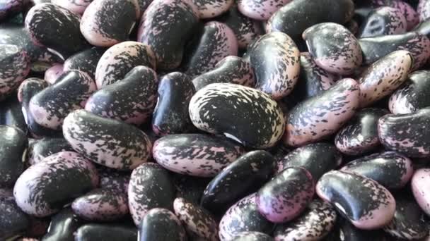 Dark Spotted Kidney Bean Pinto Beans Healthy Food — Stock Video