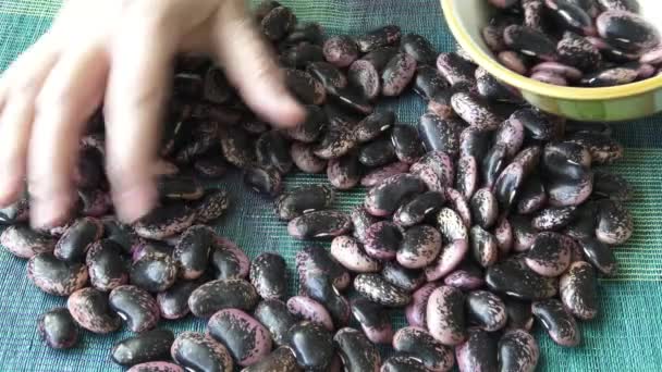 暗闇は 金時豆を発見しました ピント豆 健康食品 — ストック動画