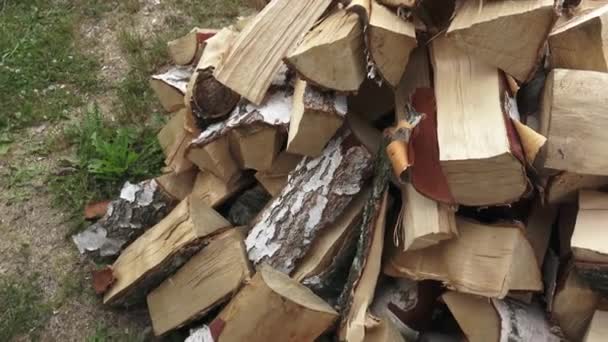 由桦木制成的木材 一堆碎柴准备过冬 桦木木柴 — 图库视频影像